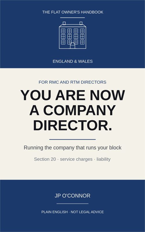 Cover of You Are Now a Company Director.